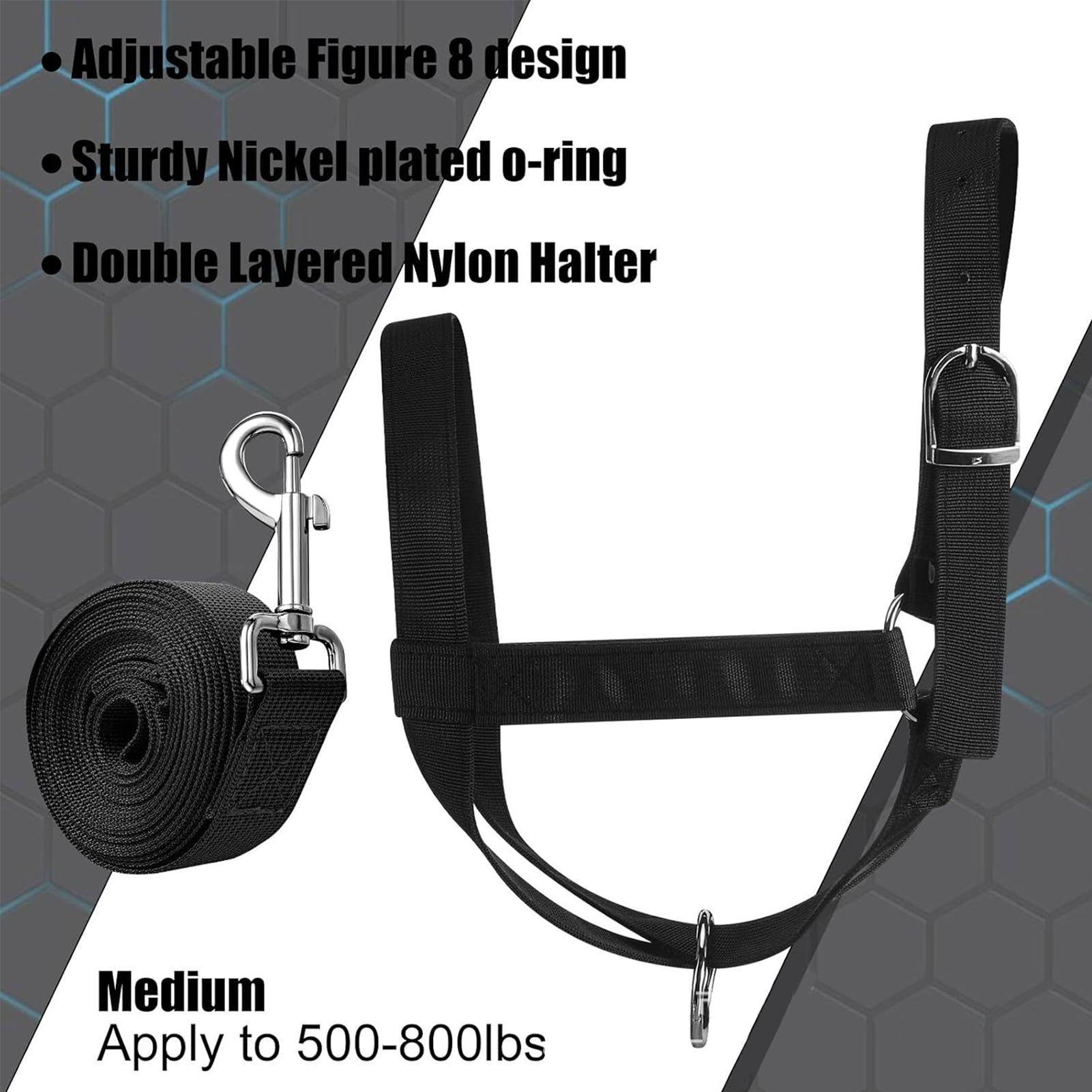 Halter Sapi, Halter Pelatihan  - Heavy Equipment Yard ulasan dan harga